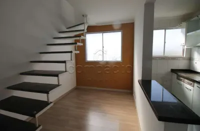 Cobertura com 2 quartos para alugar na Estrada da Fazenda Velha, Jardim Conceição, São José do Rio Preto