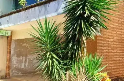 Casa com 3 quartos à venda no Jardim Bosque das Vivendas, São José do Rio Preto 