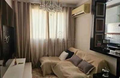 Apartamento com 2 quartos para alugar na Rua Luzia Minelli Capello, Loteamento Clube V, São José do Rio Preto