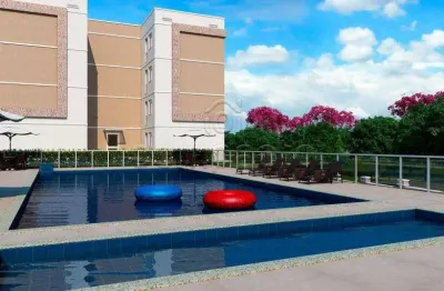 Apartamento com 2 quartos para alugar na Rua Luzia Minelli Capello, Loteamento Clube V, São José do Rio Preto