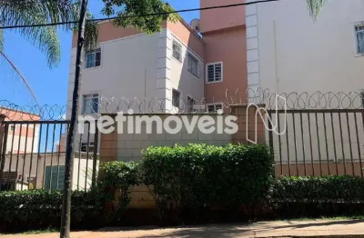 Apartamento à venda, 2 quartos, 1 vaga, candida ferreira - contagem/mg