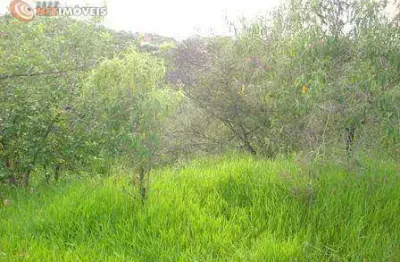 Chácara / sítio à venda na Rua Serra Da Piedade, Estância Serra Negra, São Joaquim de Bicas