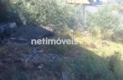 Terreno à venda na Rua Trinta, Tropical, Contagem