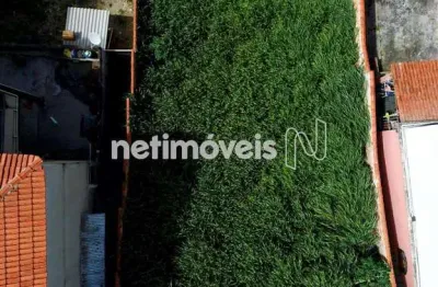 Terreno à venda na Rua Fiscal João Militão, Tropical, Contagem