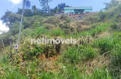 Casa com 2 quartos à venda na Rua Senhorinha Gomes Martins, Tropical, Contagem