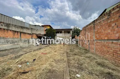 Casa com 3 quartos à venda no Tropical, Contagem 