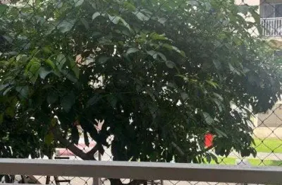 Apartamento com 2 quartos para alugar na Estrada do Tapanã, 813, Tapanã (Icoaraci), Belém