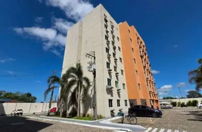 Terra fiori imóvel para venda tem 45 metros quadrados com 2 quartos em coqueiro - ananindeua - pa