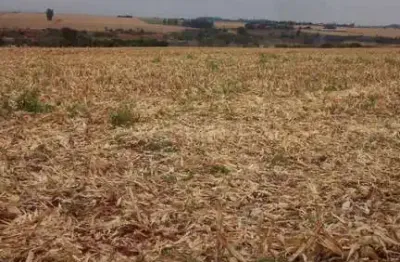 Chácara / sítio à venda no Centro, São Miguel do Iguaçu 