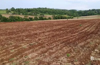Chácara / sítio à venda na Indefinido, Centro, São Miguel do Iguaçu
