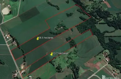 Chácara / sítio à venda na Indefinido, Centro, Marechal Cândido Rondon