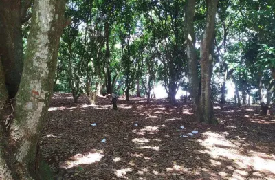 Chácara / sítio com 2 quartos à venda na Indefinido, Santa Cruz do Ocoí, São Miguel do Iguaçu