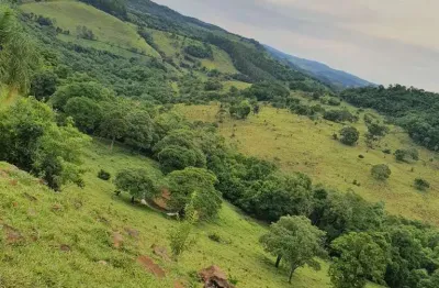 Chácara / sítio à venda na Indefinido, Centro, Quedas do Iguaçu