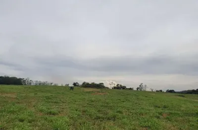 Chácara / sítio à venda na Indefinido, Setor Central, Araguaína