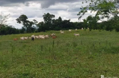 Chácara / sítio à venda na Indefinido, Centro, Cáceres