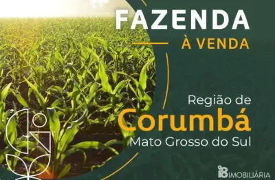 Chácara / sítio à venda na Centro, Centro, Corumbá