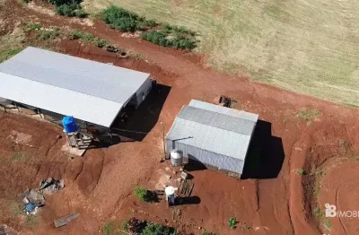 Chácara / sítio à venda na Centro, Centro, Santa Tereza do Oeste