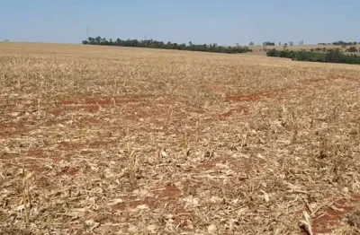 Chácara / sítio à venda na Centro, Centro, Francisco Alves