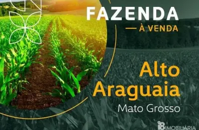 Chácara / sítio à venda no Centro, Alto Araguaia 