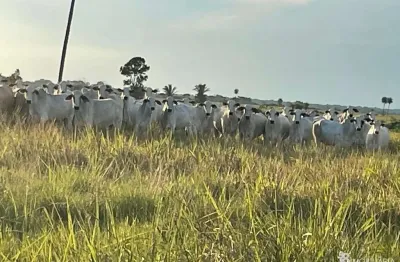 Chácara / sítio à venda na Centro, Setor Central, Santa Fé do Araguaia