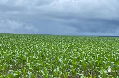 Chácara / sítio à venda na Centro, Centro, Nobres