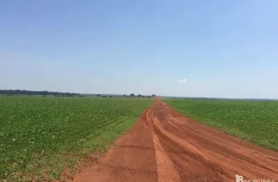 Chácara / sítio à venda na Centro, Centro, Sinop