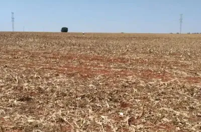 Chácara / sítio à venda na Centro, Centro, Francisco Alves