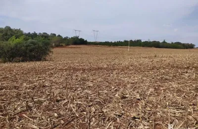Chácara / sítio à venda na Centro, Centro, São Miguel do Iguaçu