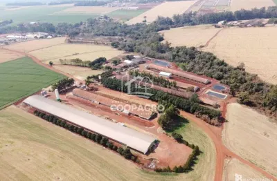 Chácara / sítio à venda na Centro, Centro, Toledo