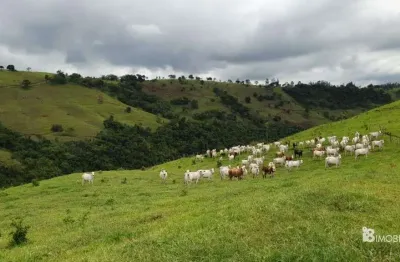 Chácara / sítio à venda na Centro, Centro, Guaraniaçu