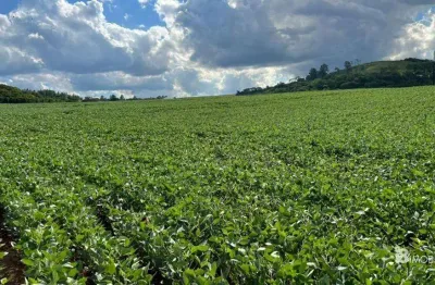 Chácara / sítio à venda na Centro, Centro, Santa Tereza do Oeste