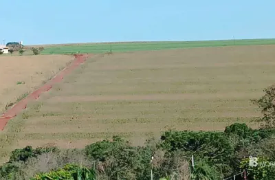 Chácara / sítio à venda na Centro, Centro, Cafelândia