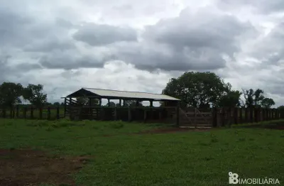 Chácara / sítio à venda na Centro, Centro, São Félix do Araguaia