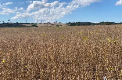 Chácara / sítio à venda na Centro, Centro, Guarapuava