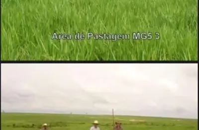 Chácara / sítio à venda na Centro, Setor Central, Araguaína