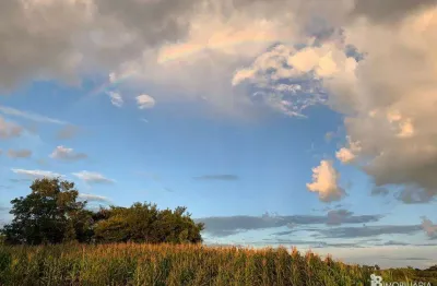 Chácara / sítio à venda na Centro, Centro, Goiás