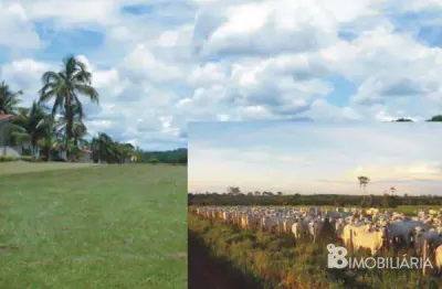 Chácara / sítio à venda na Centro, Centro, Ji-Paraná