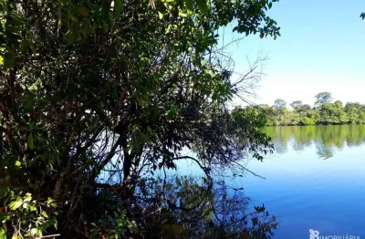 Chácara / sítio à venda na Centro, Centro, Cocalinho