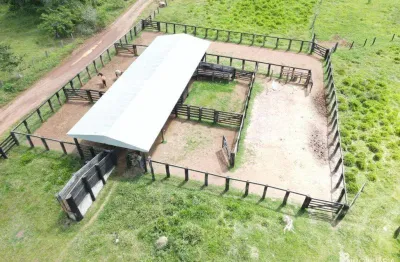 Chácara / sítio à venda na Centro, Centro, Matupá