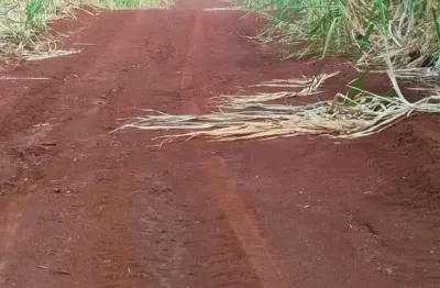Chácara / sítio à venda na Centro, Centro, Umuarama