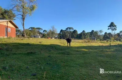 Chácara / sítio à venda na Centro, Centro, Guarapuava