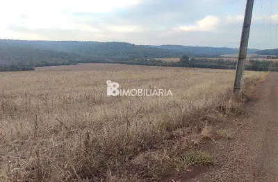 Chácara / sítio à venda na Indefinido, Centro, Santa Tereza do Oeste