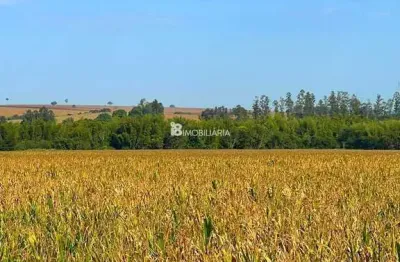 Chácara / sítio à venda na Indefinido, Centro, Francisco Alves