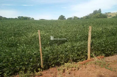 Chácara / sítio à venda na Indefinido, Centro, Lindoeste