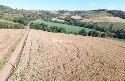 Fazenda à venda na Centro, Centro, Santa Tereza do Oeste