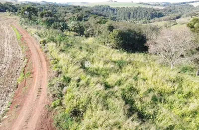 Chácara / sítio à venda na Santa Tereza Do Oeste, Centro, Santa Tereza do Oeste
