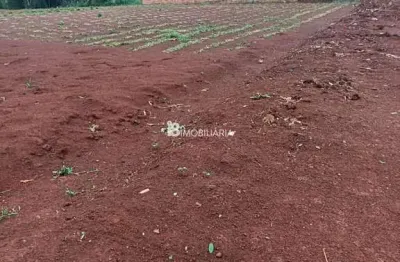 Chácara / sítio à venda na Comunidade Sao Jorge, São Jorge, São Miguel do Iguaçu