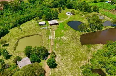 Fazenda à venda na ÁRea Rural, Centro, Guaraniaçu