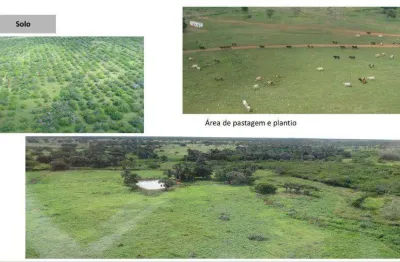 Chácara / sítio à venda no Centro, Aroazes 
