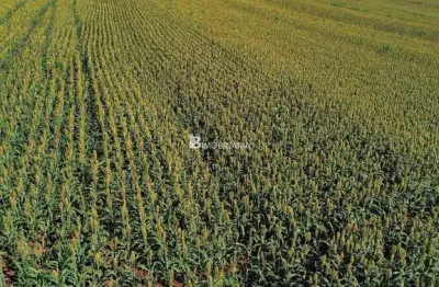Chácara / sítio à venda na Centro, Centro, Cascavel
